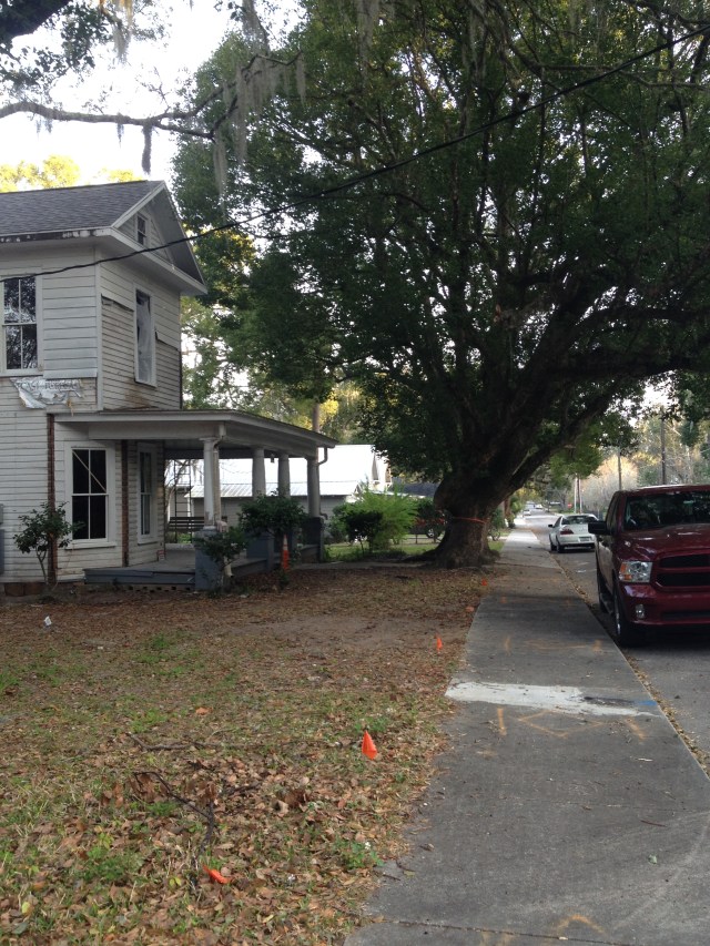 side front with trees