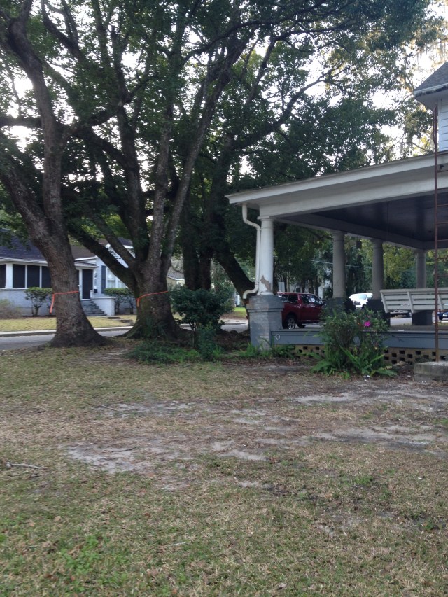 side view with trees